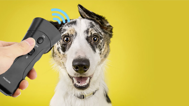 NoBark Ultra - World's First Dog Training Remote